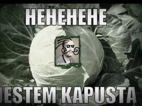 best-troll-ever-funny-!-must-see-!