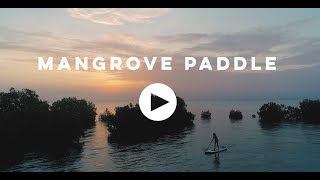 Mangrove Paddle