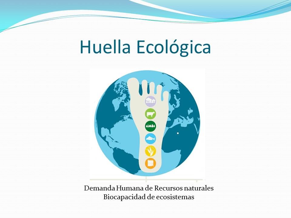 Clase - Huella ecologica - Explicación - YouTube