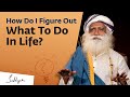 How do i figure out what to do in life  sadhguru answers