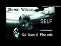 Steven Wilson - SELF (DJ Dave-G Piro Mix)