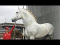 Percheron Horses | Power Grace Utility