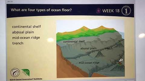 CC Cycle 1 Science Week 18 Ocean Floor