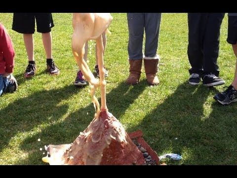 how to make diet coke and mentos volcano