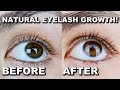 I Used Castor Oil On My Eyelashes For 30 Days And This Is What Happened