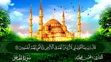 سورة الحجر || للقارئ محسن عطية 