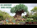 Disney&#39;s Animal Kingdom 20th Anniversary Park Visit