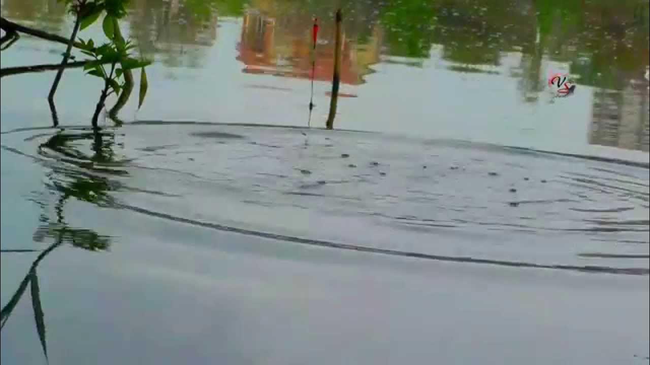 2.Запись звука на АКТИВНЫЙ ГИДРОФОН(подводный конденсаторный микрофон ...