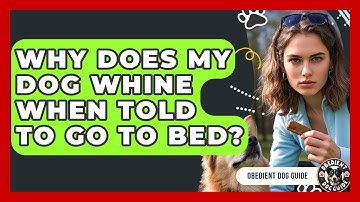 Why Does My Dog Whine When Told To Go To Bed? - Obedient Dog Guide