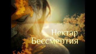 Ничто никогда не вмешивается в игру пяти элементов - Нисаргадатта Махарадж. Нектар Бессмертия