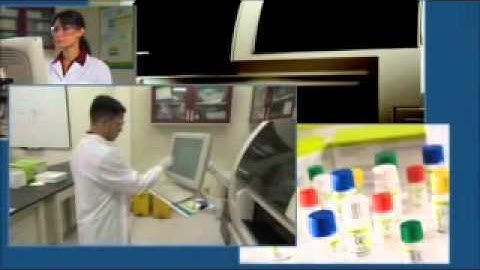 ACL TOP Family Video   Summary