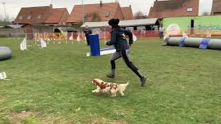 20230319 Orchies Ophelie Ode Jumping2