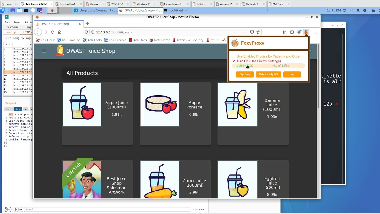 Web App Pen-testing using OWASP Juice Shop