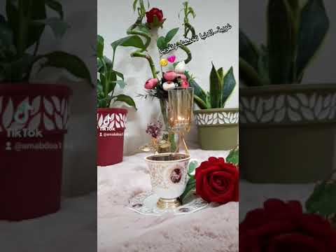 حالات واتس اب غريبة الدنيا تخدعنا وتغرينا