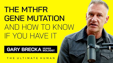 MTHFR Gene Mutation Explained: How to Know If You Have It and What To Do About It | TUH #024
