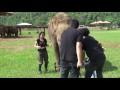 Elephant want to join interview with her favorite person  elephantnews