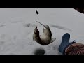 Рыбалка в оттепель в феврале на Урале, разнорыбье.