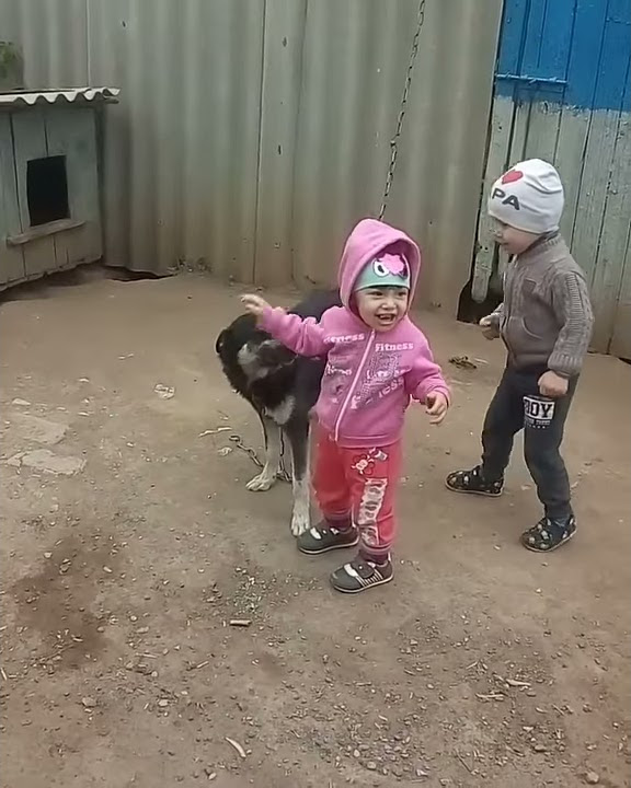 В деревне у мужа) Дочка очень любит собак и кошек,а сын боится. - YouTube