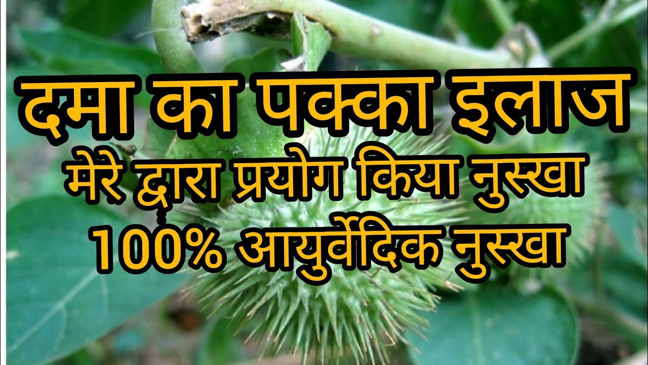 दमा का इलाज पक्का इलाज - YouTube