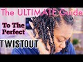 How To Get the PERFECT TWISTOUT!! The Ultimate Guide for ALL HAIR TYPES!