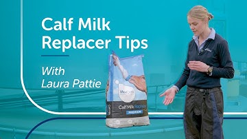 Calf Milk Replacer Tips | PGG Wrightson Tech Tips