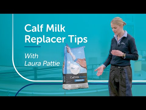 Calf Milk Replacer Tips | PGG Wrightson Tech Tips