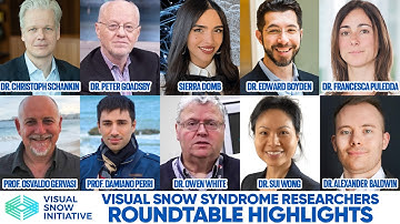 Visual Snow Initiative Roundtable 2025: Visual Snow Syndrome Discussion