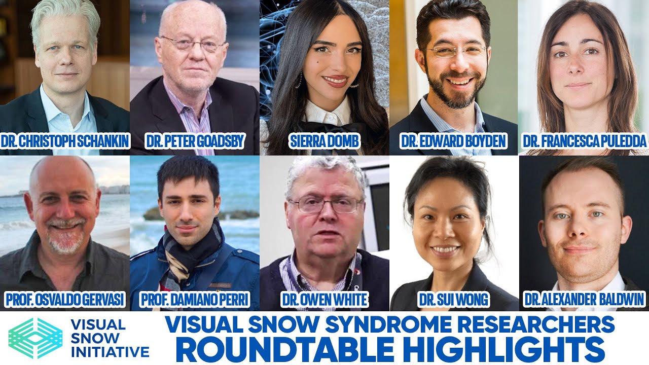 Visual Snow Initiative Roundtable 2025: Visual Snow Syndrome Discussion
