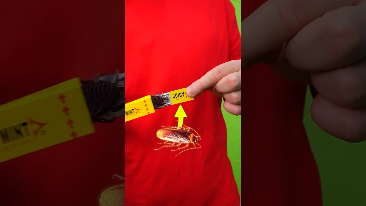 Пранк жевачкой с тараканом!