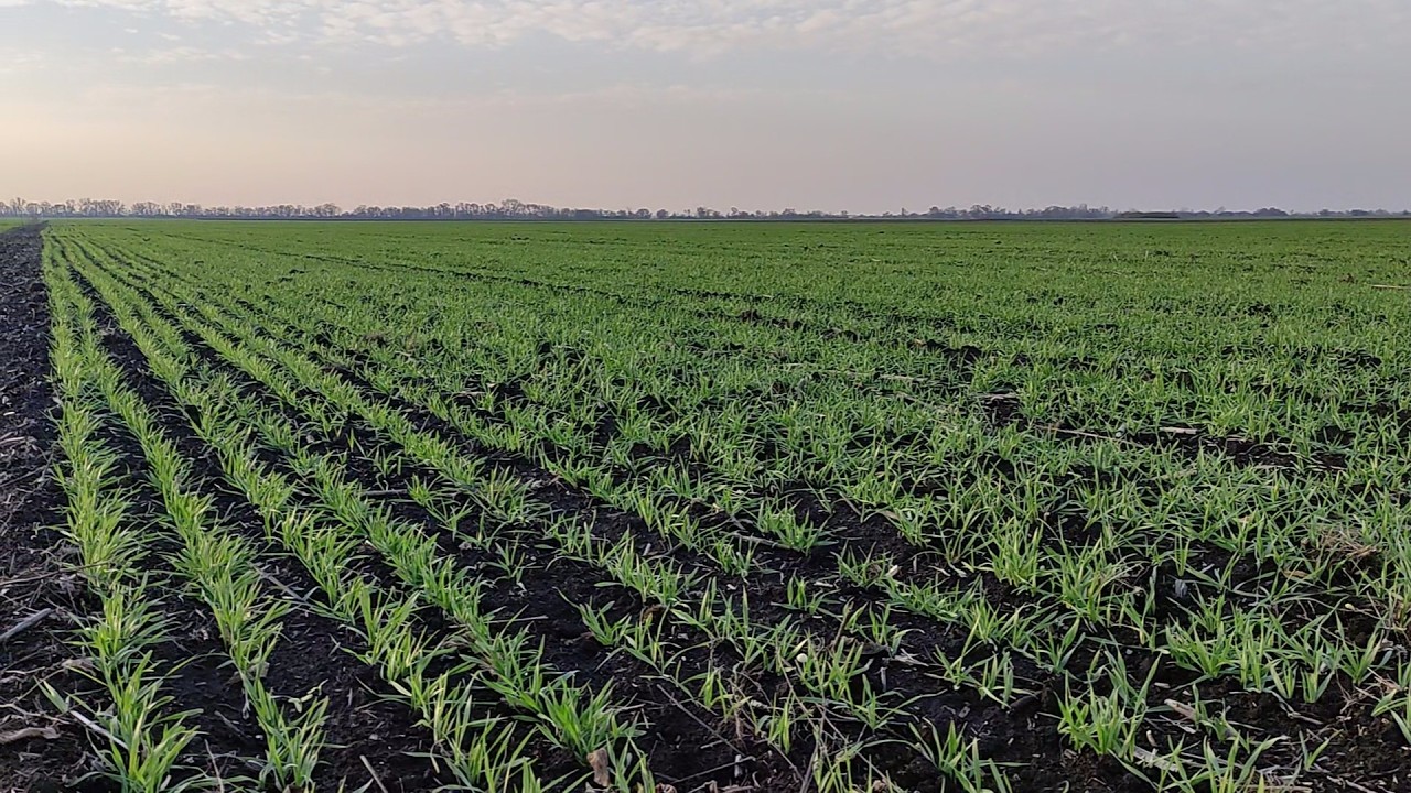 22.11.2025 Ситуація так собі 👀. Місю Полтавський чорнозем аналізую минуле та мізкую про майбутнє