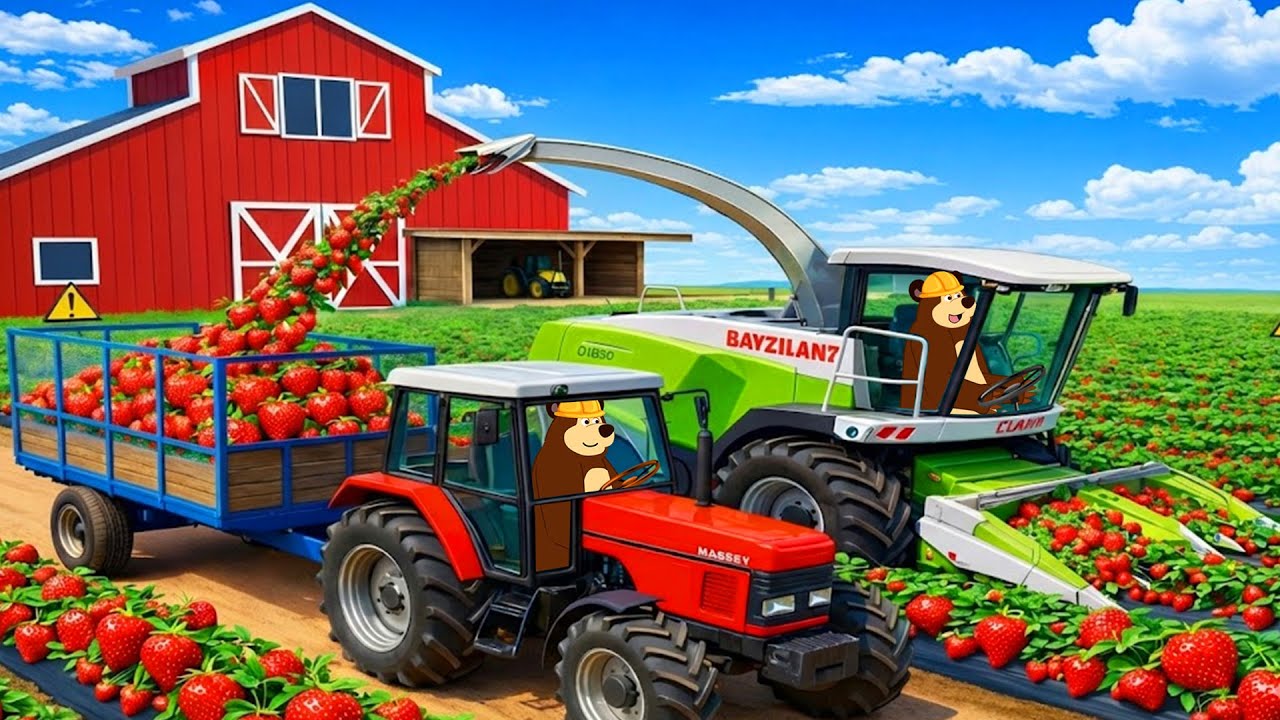 Farm Work Day: Strawberry Planting, Harvest & Transport | Real Farm Animation