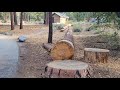 San Gorgonio Family Campground in Angelus Oaks, CA.