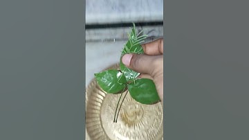 बेलपत्र पर शमी पत्र का उपाय #pradeepmishraji #shivmahapurankatha #mhadevbhakt #shivling