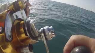 Dubai Fishing Oct 25 2014