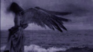 Dove Doll Version But Even More Majestic slowedreverblouder antihoney