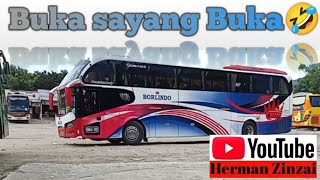 Po.Borlindo | Viral di Tik Tok Story WA