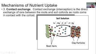 Soil Fertility, Conservation & Management - Module 2 (Part 3)