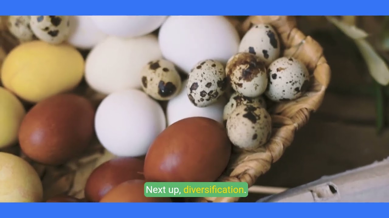 The Golden Rules of Investing  Master Your Financial Future!