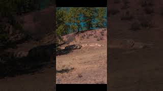Hillside Photography at Florissant Fossil Beds | Colorado Scenic Views