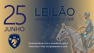 Leilão Haras Bom Viver
