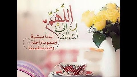 الشيخ فارس عباد   سورة الزخرف