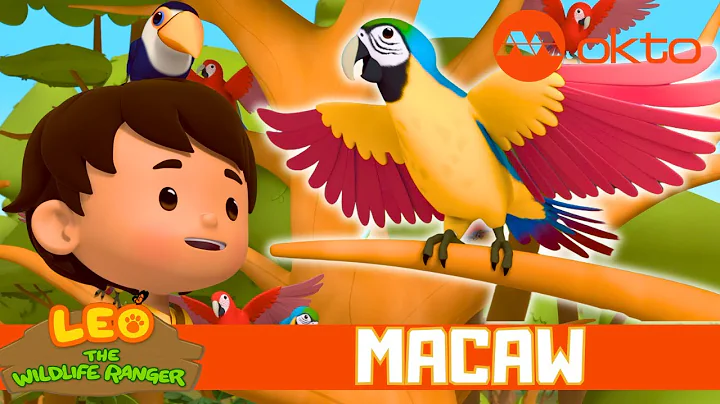TALKING MACAWS 🦜 Follow Me Adventure 🌳 | Leo the Wildlife Ranger Spinoff S7E08 | @mediacorpokto