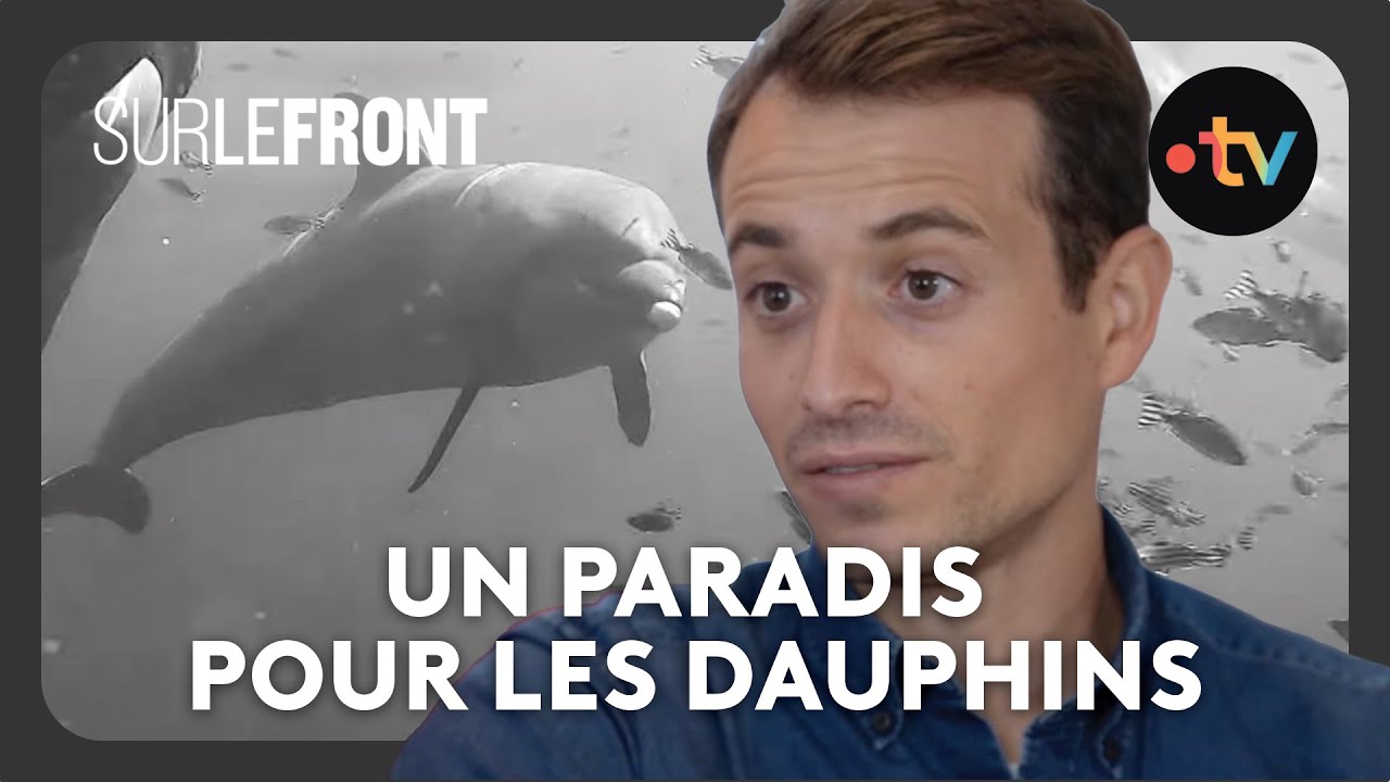 Le sanctuaire de l'espoir pour les dauphins - Sur le front avec Hugo Clément