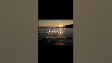 وَإِنَّ رَبَّكَ لَذُو فَضْلٍ عَلَى النَّاسِ | سورة النمل | محمد صديق المنشاوي