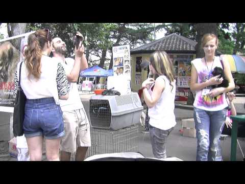 6 ივლისი - ცხოველების გაჩუქების მე-14 ღონისძიება