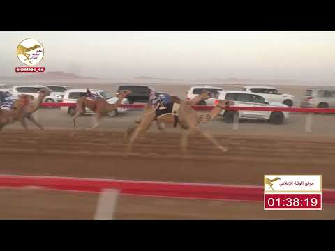 الشوط 6 راهي ل حمود سعيد بن سالم حمد المحاربي 2 14 93 شارة الصندوق 2023 06 04 فطامين الوقن