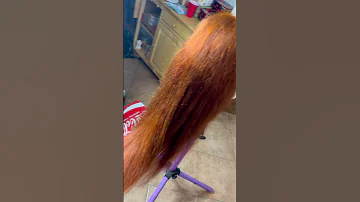 Finished Product Dyed 