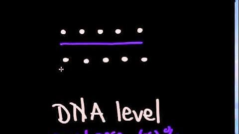 MCAT Genetics: Penetrance & Expressivity