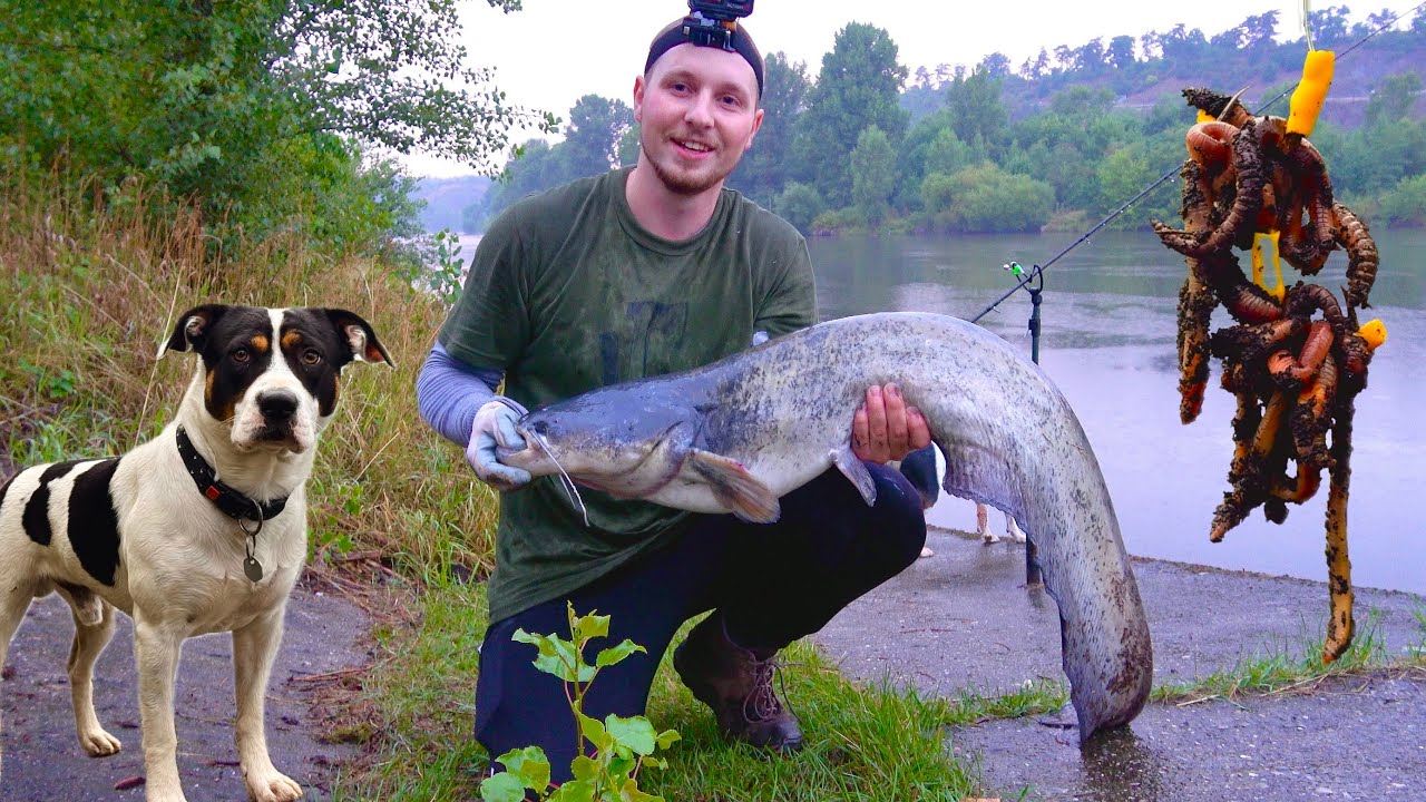 Сом, Окунь, Вугор — спіймав все! | Вечірня риболовля на ВИПОВЗКА