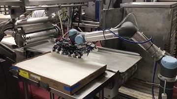 Brenner-Fiedler Collaborative Robot UR5 Baking Tray and Paper Pick and Place